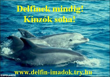 Delfin-imdk